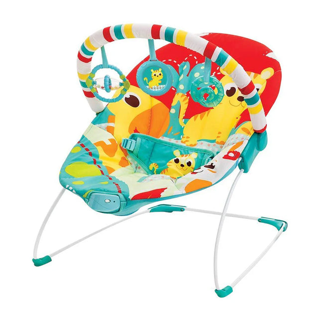 Mastela Soothing Vibrations Bouncer