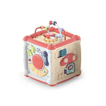 Baby Wisdom Cube (Pink)