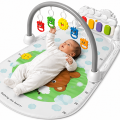 Collection image for: Play Gym