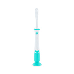 Collection image for: Tooth Brush