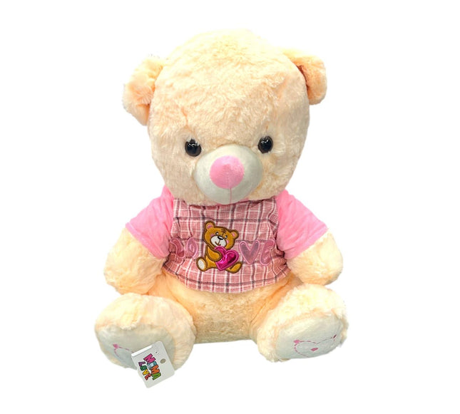 Soft & Huggable Teddy Bear with Love Jersi
