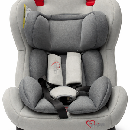 Tinnies - Premium Baby Car Seat with 5-Point Safety Harness | Soft Padded, Adjustable & Comfortable | Grey